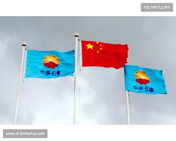 暴雨过后卢安达石油工人球场紧急排水系统测试展开