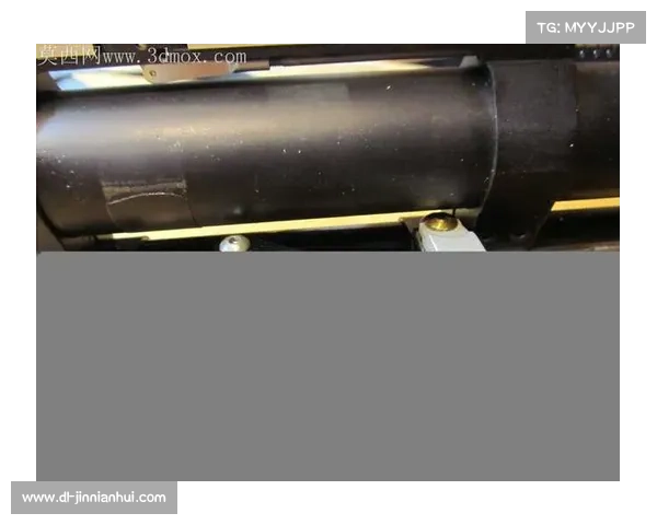 板球技术革新 3D打印定制球棒登陆京东 提升人体工学适配度90%